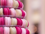 Pink Macaroons