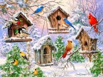 Winter Birdhouses