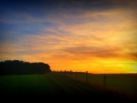 Sunset Field