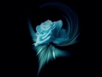 Blue Rose