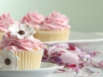 Pink Cupcakes