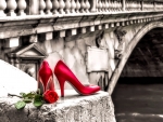 Red Shoes and Rose