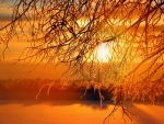 Winter Sunset