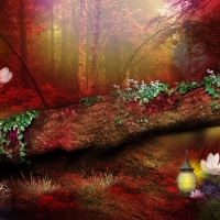 Lantern in the Forest