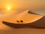 Desert at Sunset