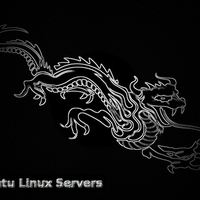 Black Chrome Dragon Ubuntu Servers