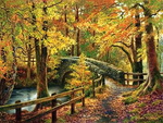 Autumn bridge