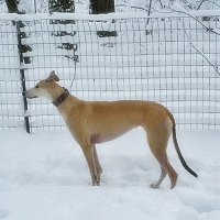 Blaze-She's as sweet as she is beautiful.