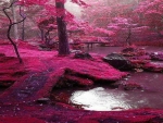 pink forest