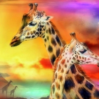 Giraffe Couple