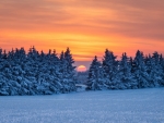 Winter Sunset