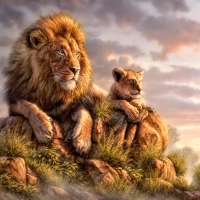 Lion Pride
