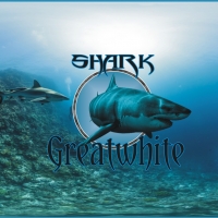 Greatwhite Shark