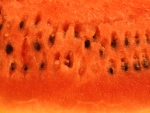 Juicy Watermelon