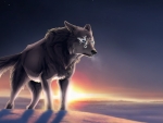 Magical Wolf at Sunset