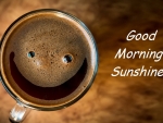 Good Morning Sunshine!