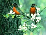 Giclee Robins