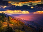 The Secret of Smoky Mountains, USA
