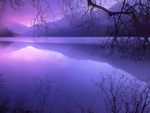 Purple lake