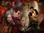 The Twilight Saga - New Moon