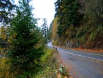 Chuckanut Drive in the Fall