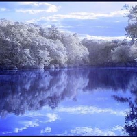Waterford Lake Reflections