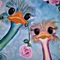 Cute Ostriches