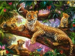 Leopards