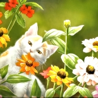 Cat and Flowers
