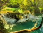 PLITVICE LAKE