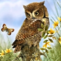 Owl and Butterfly