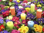 Spring Flowers and Candles