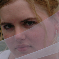 Obscured Bride