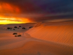 Dunes at Eucla, Australia