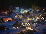 Shirakawa Village