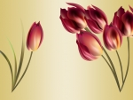 Tender Tulips