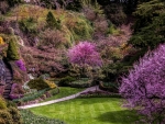 Spring at Butchart Gardens