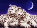 White Tigers