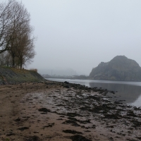 Misty Dumbarton