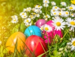 Spring and Easter