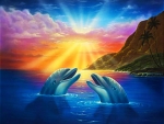 Dolphins at Sunset