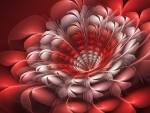 Fractal Flower