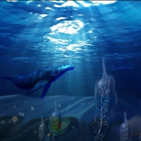 The-Devine-Love-Of-Nature