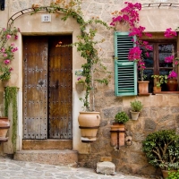 Flowers At The Front