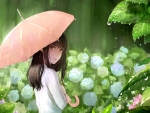 Spring Rain