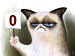 Mr.Grumpy Cat