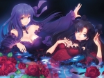 Fate Stay Night