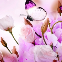 ~~Lovely Combination~~