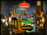 Poker Round