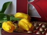 Yellow tulips and chocolate